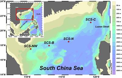 Underestimation of biogenic silica sinking flux due to dissolution in sediment traps: A case study in the South China Sea